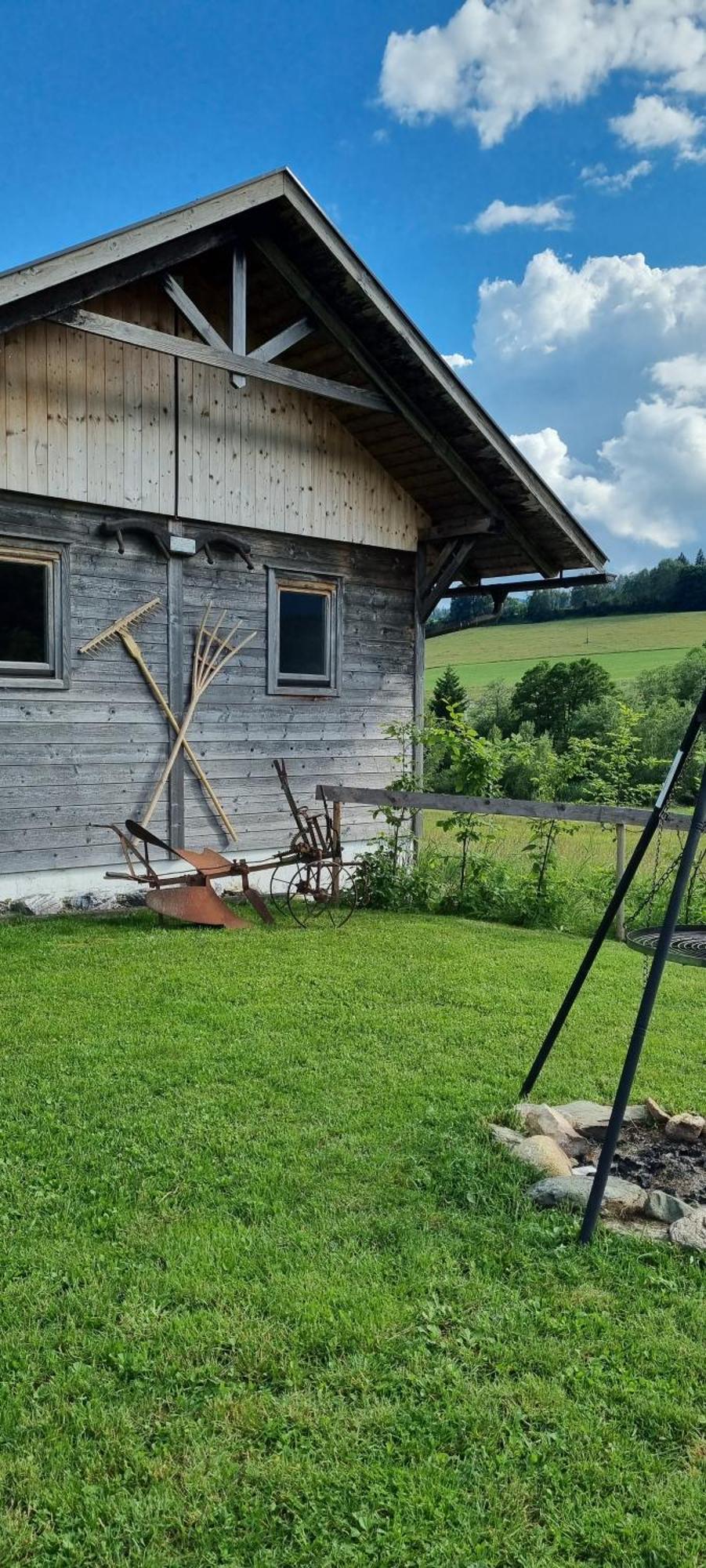 Ferienhaeuschen In Mariahof Apartment Exterior photo