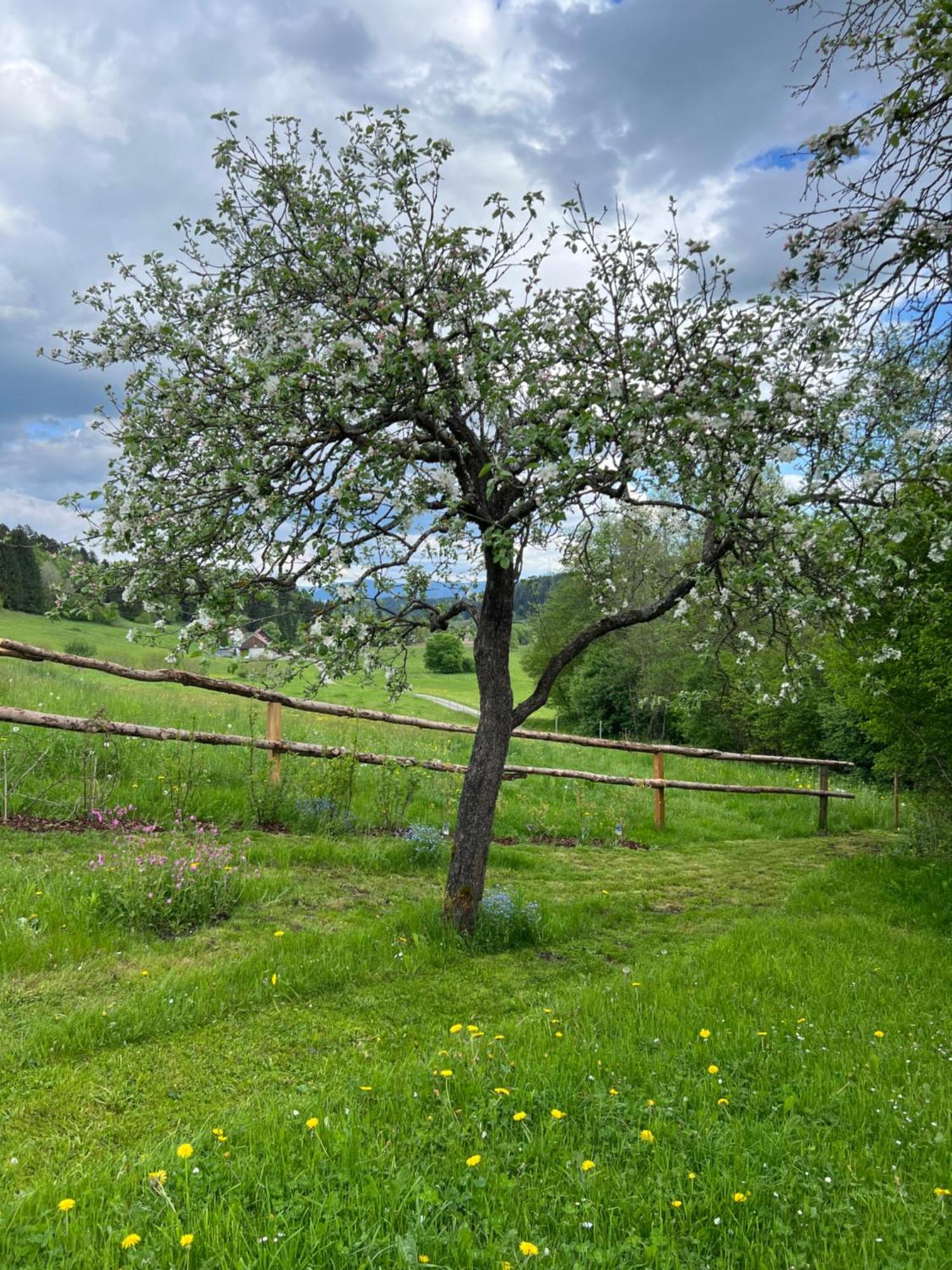 Ferienhaeuschen In Mariahof Apartment Exterior photo